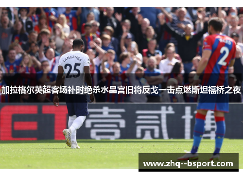 加拉格尔英超客场补时绝杀水晶宫旧将反戈一击点燃斯坦福桥之夜 加拉格尔英超客场补时绝杀水晶宫旧将反戈一击点燃斯坦福桥之夜